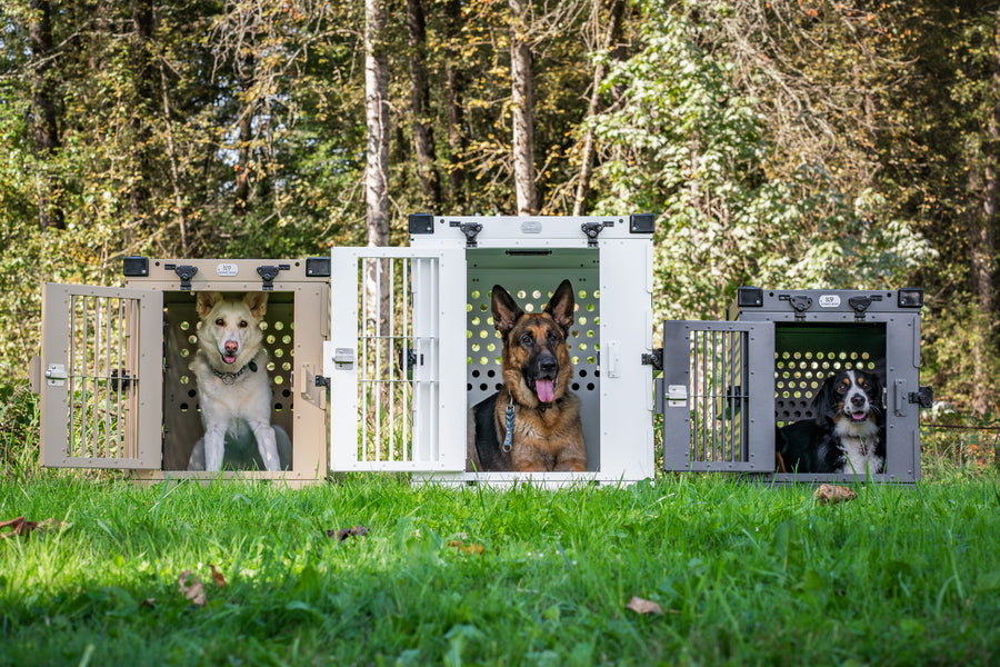 K9 Kennel Boss