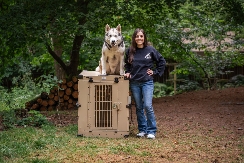 Bolder Dog Training trainers serving Bothell WA