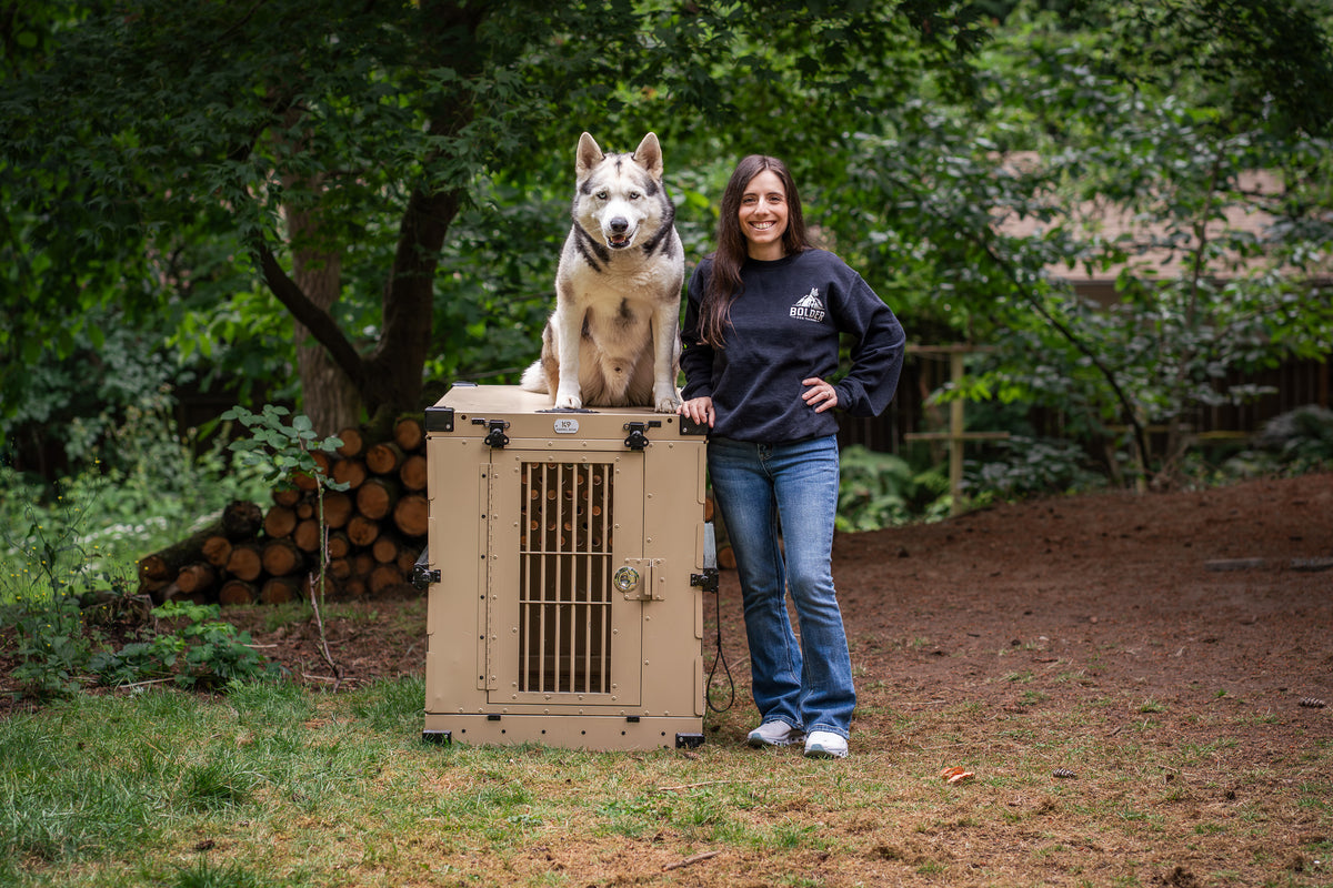 Bolder Dog Training trainers at the Kenmore training facility