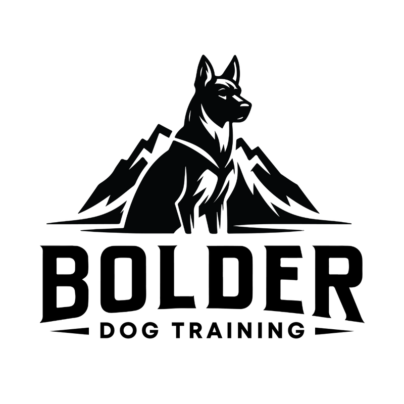 Bolder Dog Training